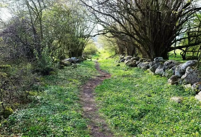 ホテル Bodelssons By The Sea