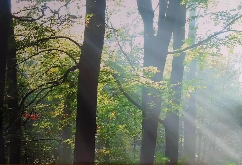 ホテル Hcr Prinsen