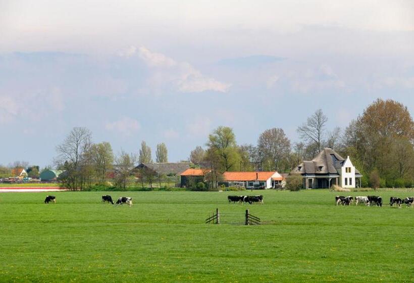 Отель Huisjes Oosterleek