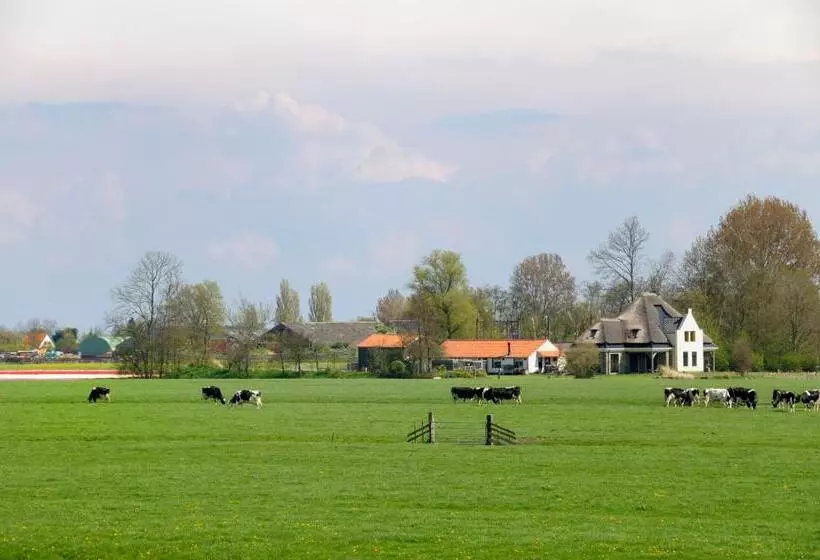 Hotelli Huisjes Oosterleek