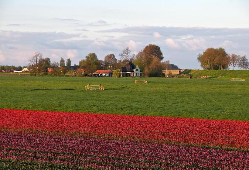 Отель Huisjes Oosterleek