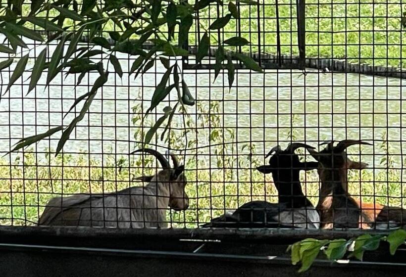 Отель Huisjes Oosterleek