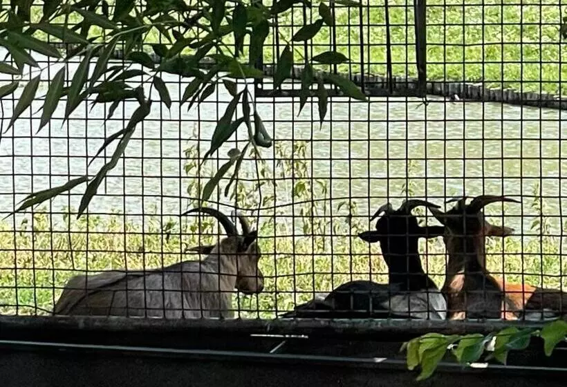 Hotelli Huisjes Oosterleek