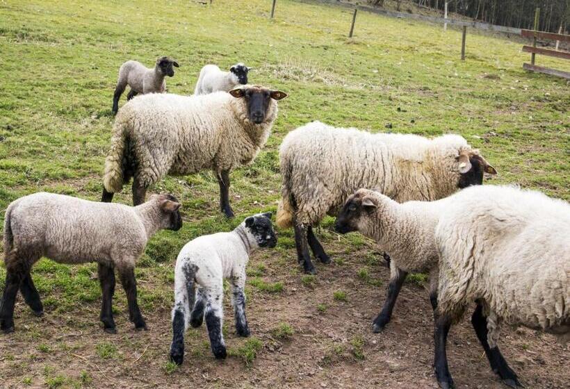 هتل Pension Waldblick Garni