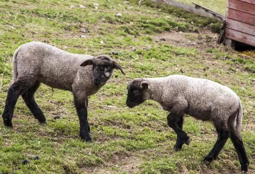 Hotelli Pension Waldblick Garni