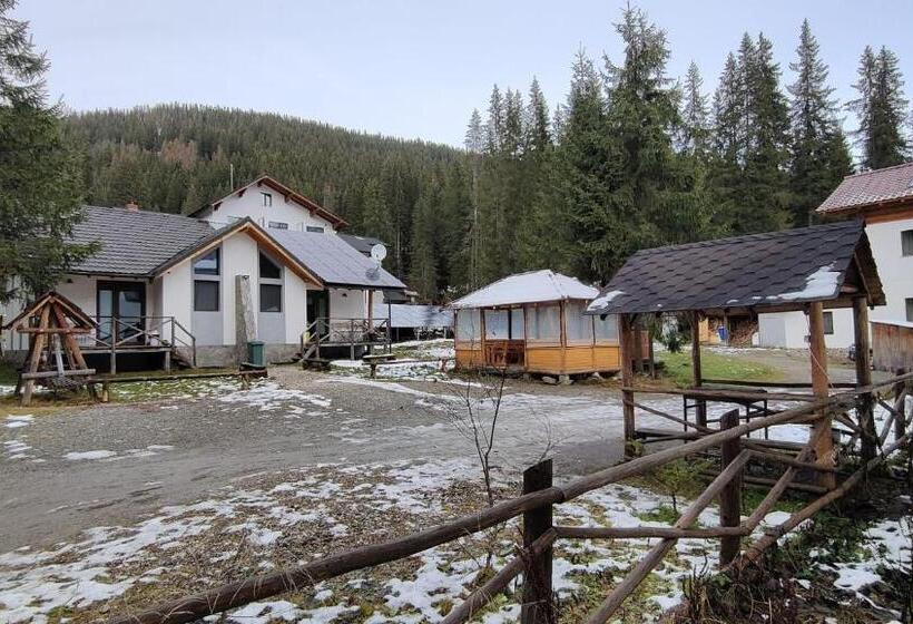 پانسیون Complex Transalpina Lac