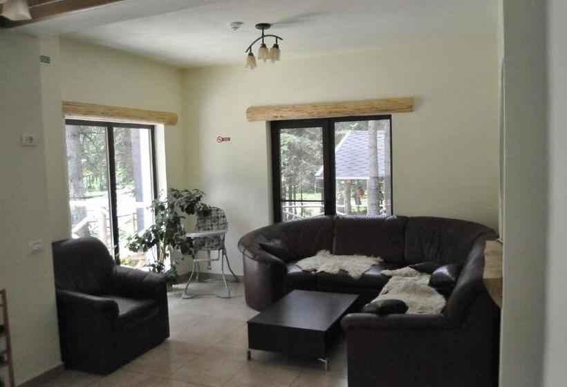 پانسیون Complex Transalpina Lac