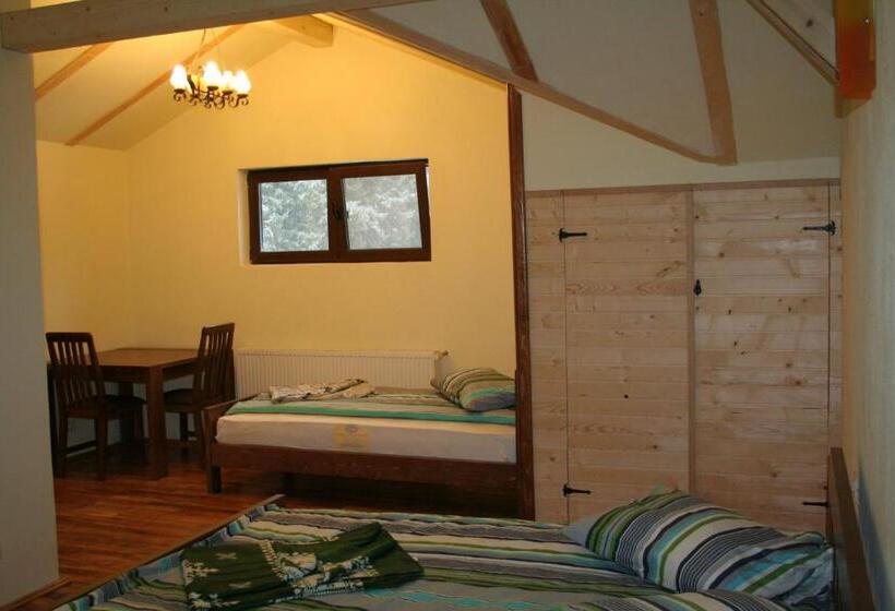 پانسیون Complex Transalpina Lac