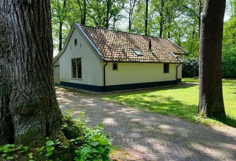 ペンション De Consistorie