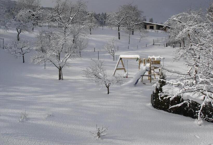 פנסיון Gasthof Zum Hohen Lohr