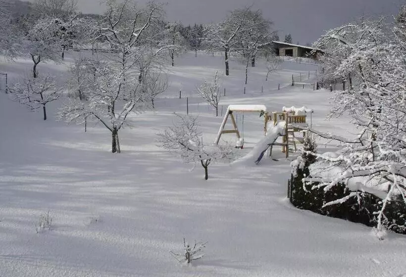 Majatalo Gasthof Zum Hohen Lohr