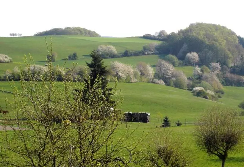 Majatalo Gasthof Zum Hohen Lohr