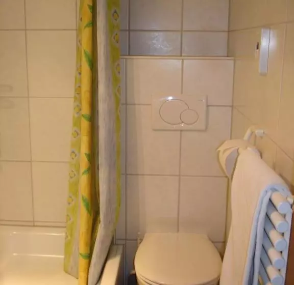 Majatalo Gasthof Zum Hohen Lohr