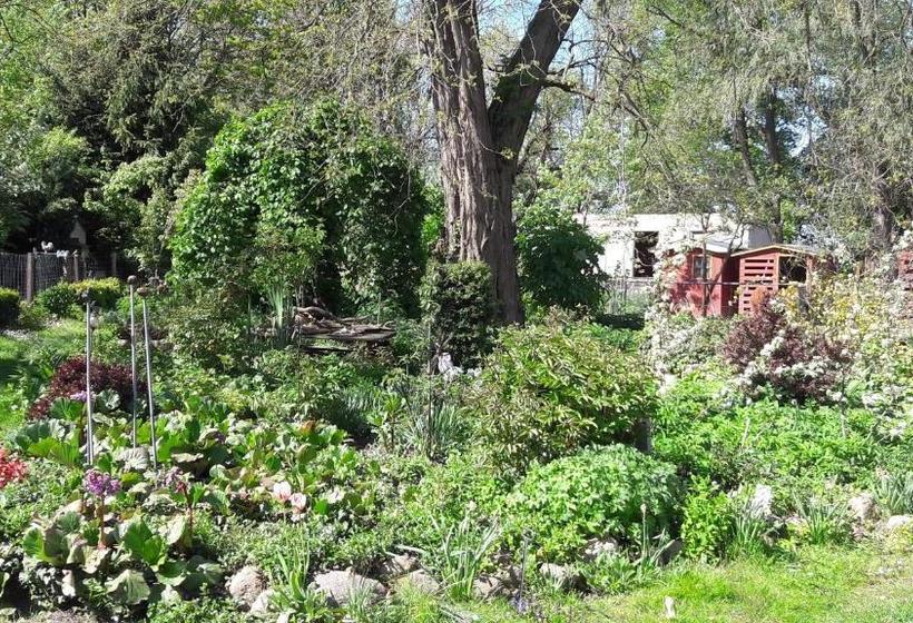 פנסיון Herberge Agape