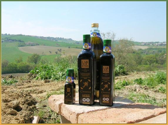 פנסיון Locanda Borgognina