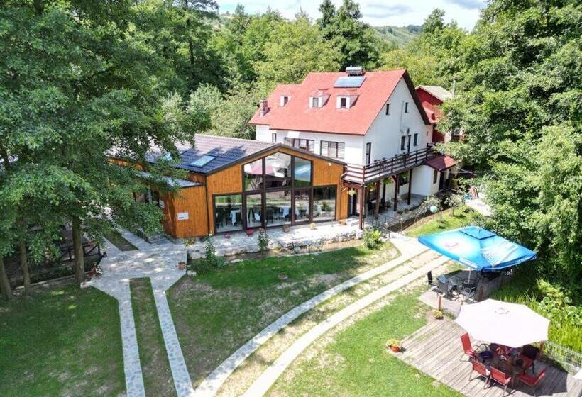 ペンション Moara Viselor