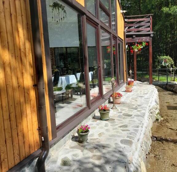 ペンション Moara Viselor