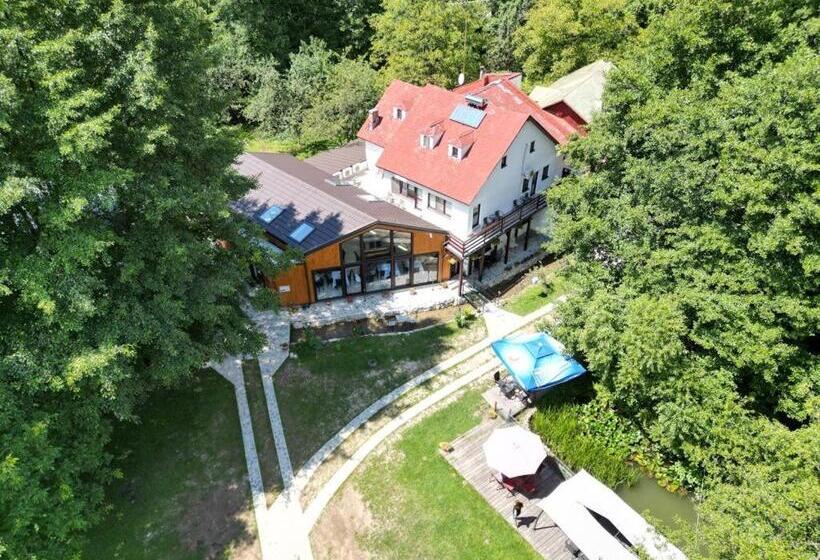 ペンション Moara Viselor