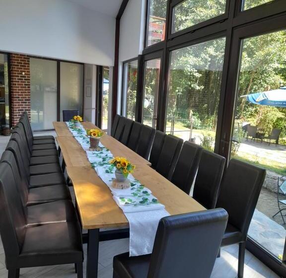 ペンション Moara Viselor