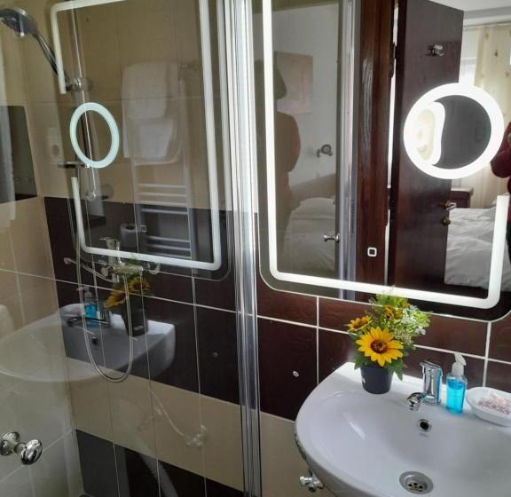 ペンション Moara Viselor