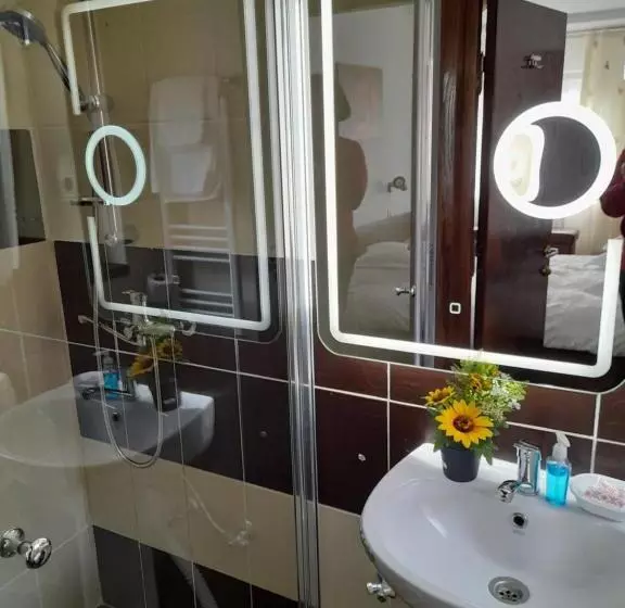 Majatalo Moara Viselor