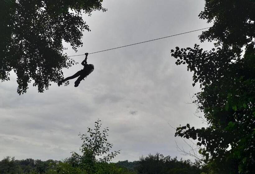 ペンション Moara Viselor