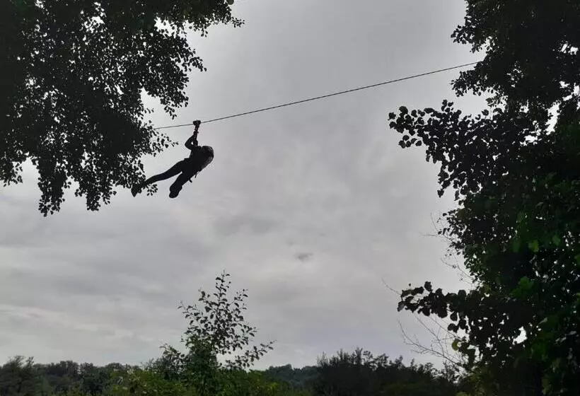 Majatalo Moara Viselor