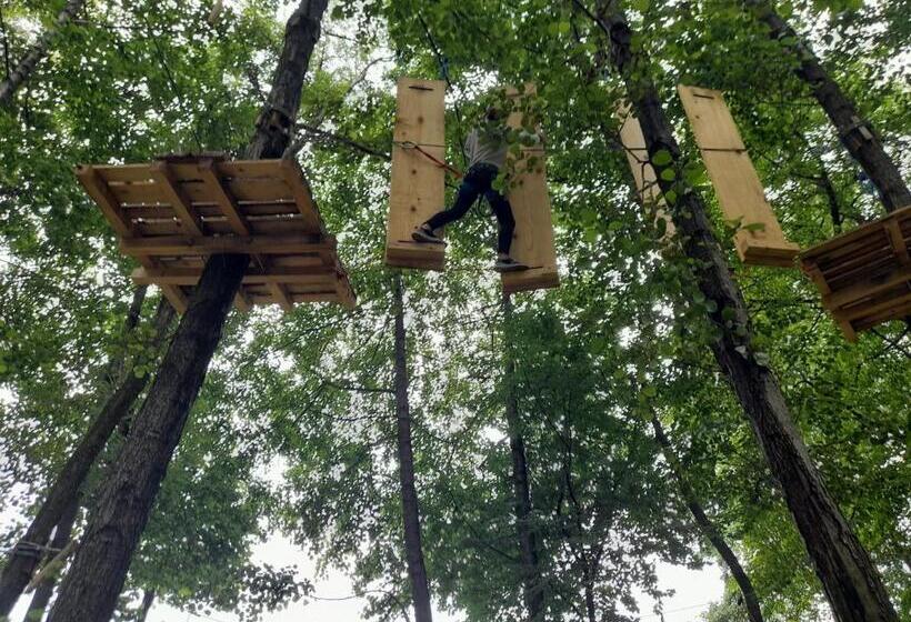 ペンション Moara Viselor