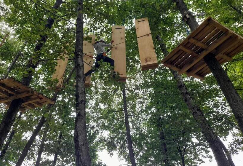 ペンション Moara Viselor