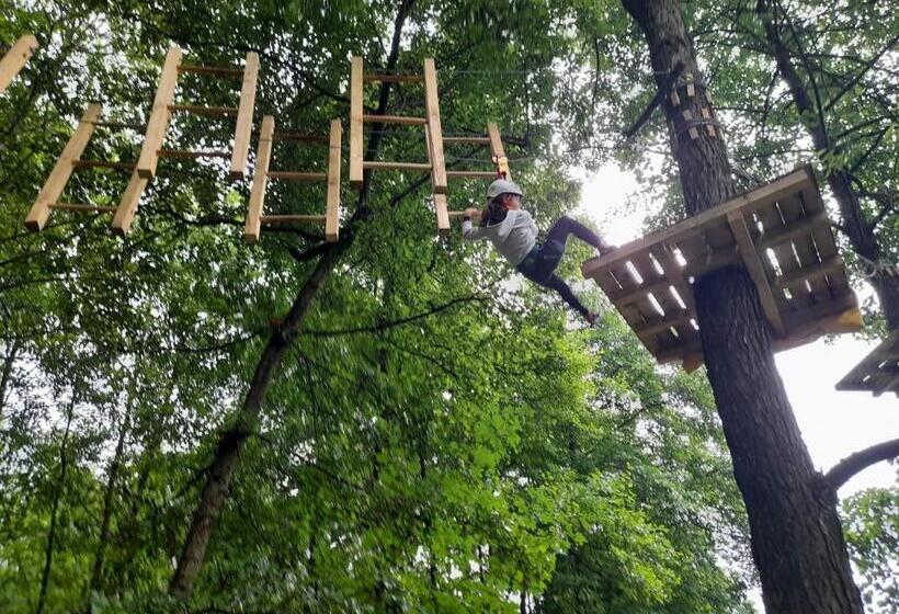 ペンション Moara Viselor