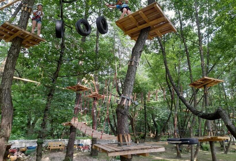 ペンション Moara Viselor