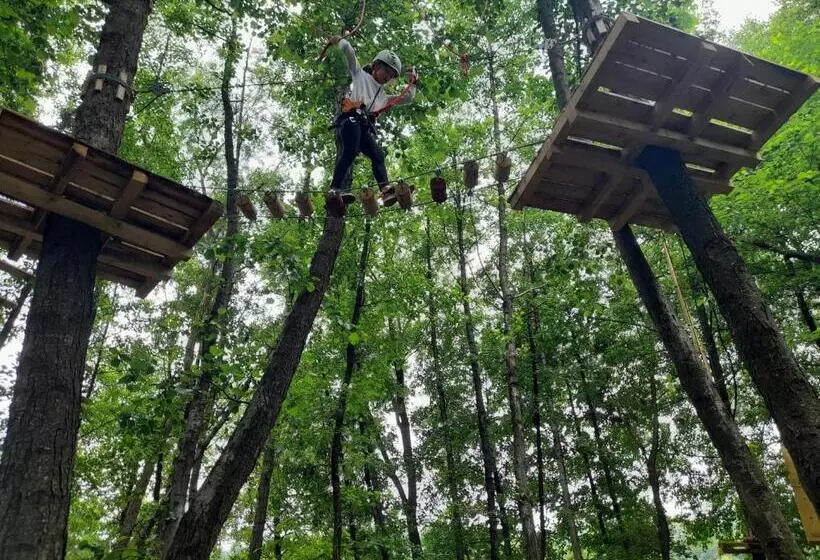 Majatalo Moara Viselor