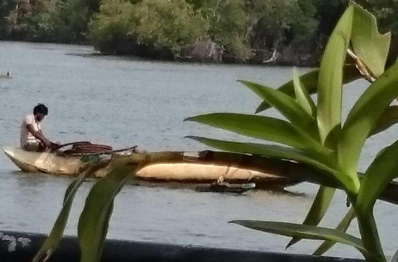 פנסיון Villa Butterfly