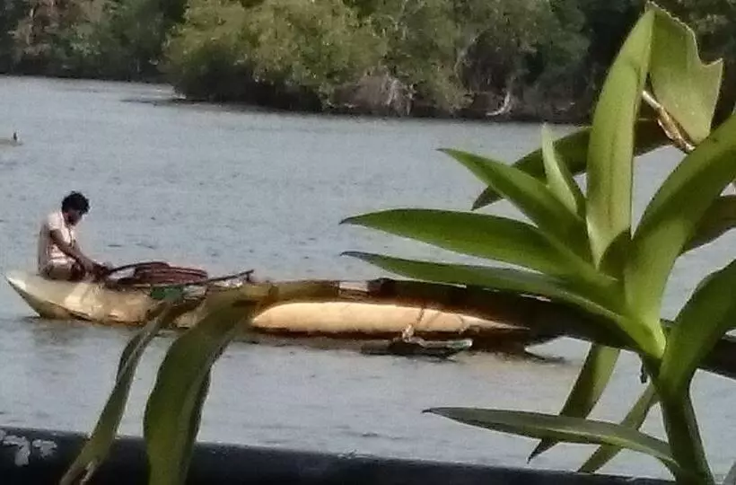 ペンション Villa Butterfly