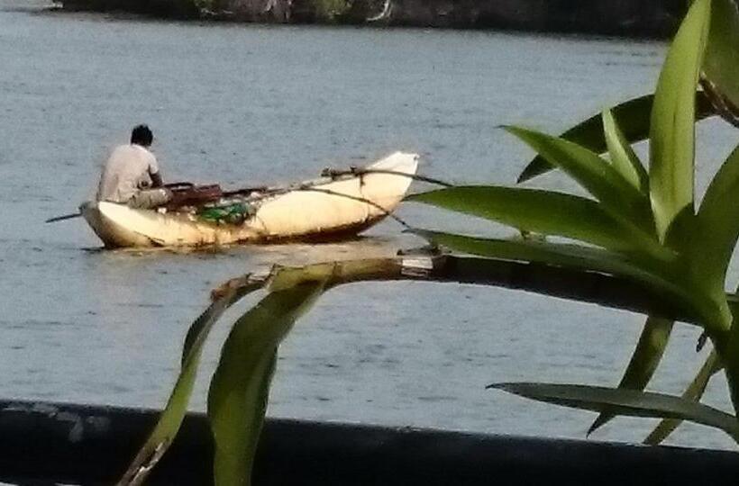 פנסיון Villa Butterfly