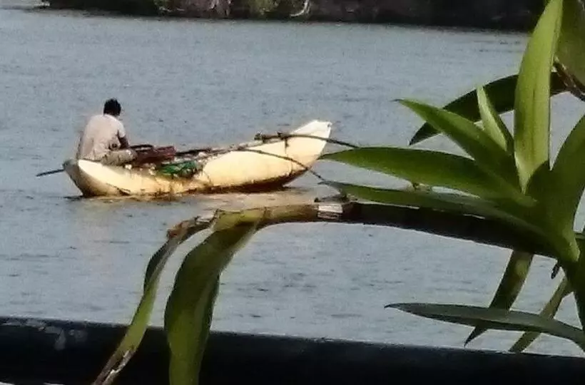 ペンション Villa Butterfly