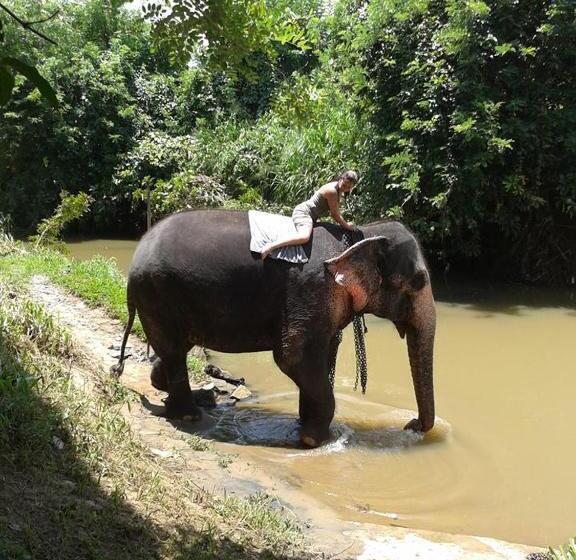 פנסיון Villa Butterfly