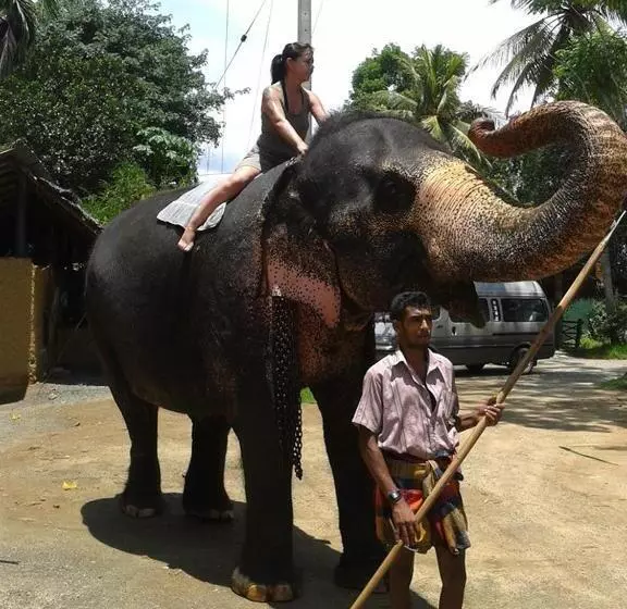 ペンション Villa Butterfly