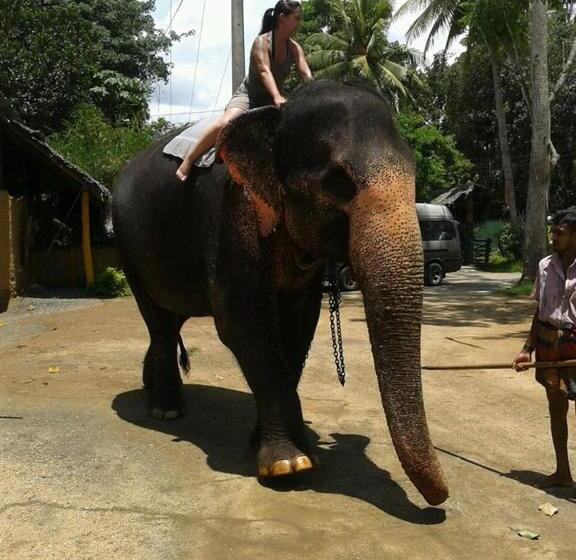 פנסיון Villa Butterfly