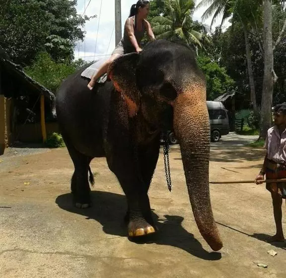 ペンション Villa Butterfly