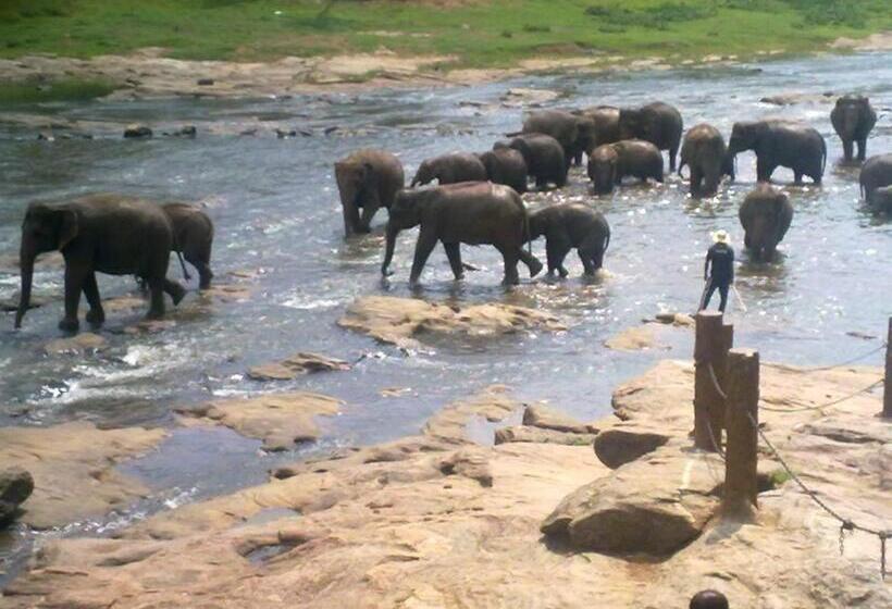 פנסיון Villa Butterfly