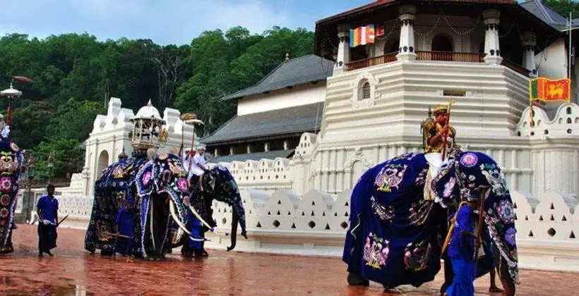 ペンション Villa Butterfly