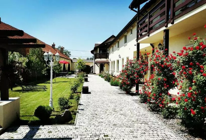 Pensiunea Casa Moga
