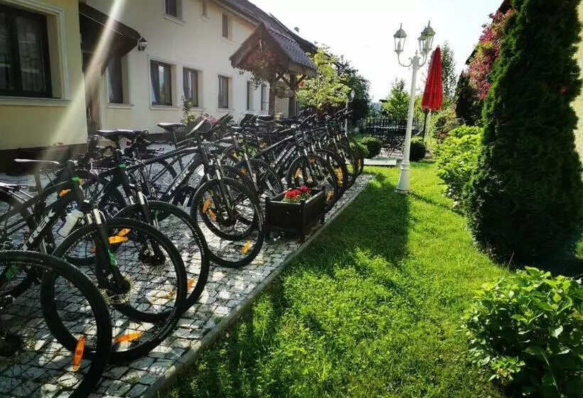 Pensiunea Casa Moga