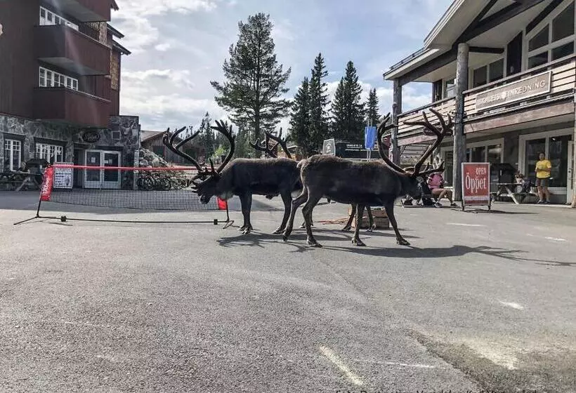 Vemdalsskalets Högfjällshotell & Lägenheter