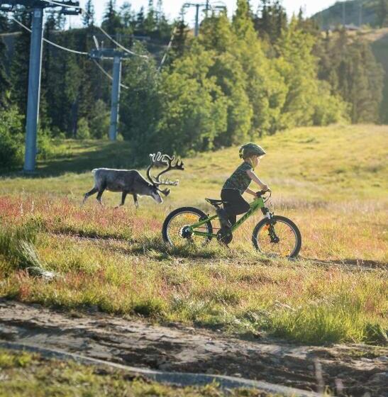 Vemdalsskalets Högfjällshotell & Lägenheter