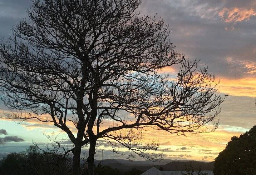 Wiss House Bed And Breakfast