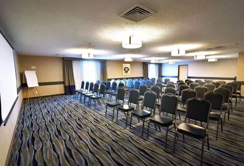 هتل Best Western Plus Flint Airport Inn & Suites