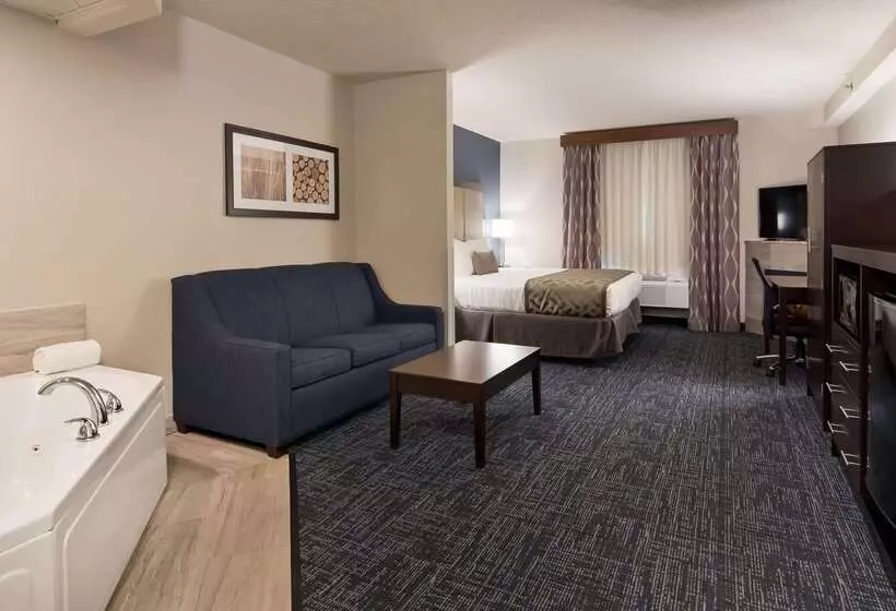 هتل Best Western Plus Flint Airport Inn & Suites
