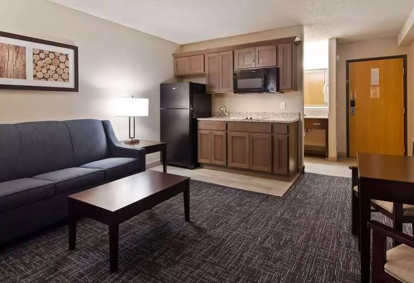 هتل Best Western Plus Flint Airport Inn & Suites